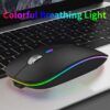 Wireless RGB LED Kablosuz Mouse MK-109