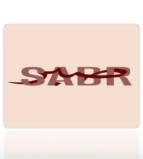 SABR  Gaming  oyuncu Mouse pad Kaydırmaz Kauçuk Dikişli  480X400 Mm