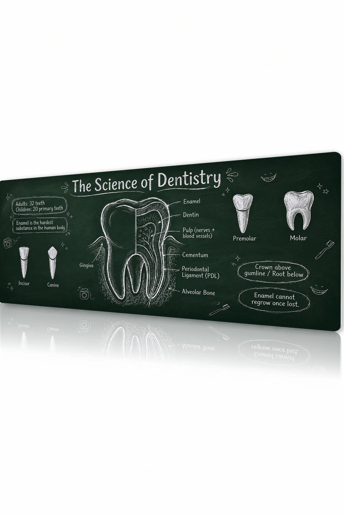 Chalkboard Molar Gaming Mousepad Chalkboard Molar Gaming Mousepad