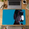 Crimson Temptress Turkuaz Dizüstü Gaming Mousepad